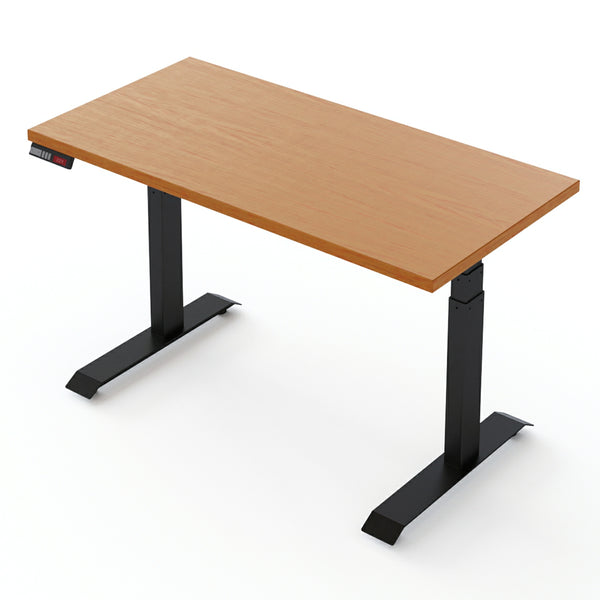 Fundamentals EX 54" x 24"